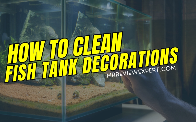 How to Clean Fish Tank Decorations