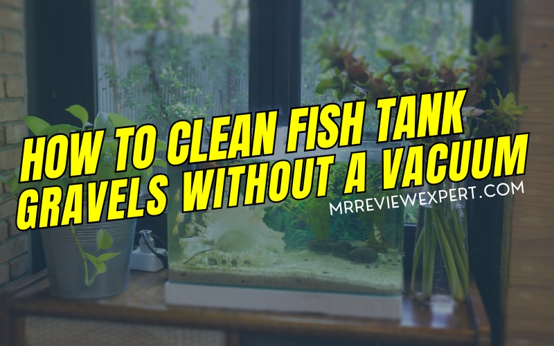 How to Clean Fish Tank Gravels Without A Vacuum