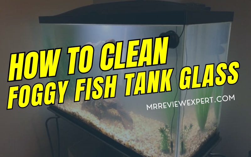 How to Clean Foggy Fish Tank Glass